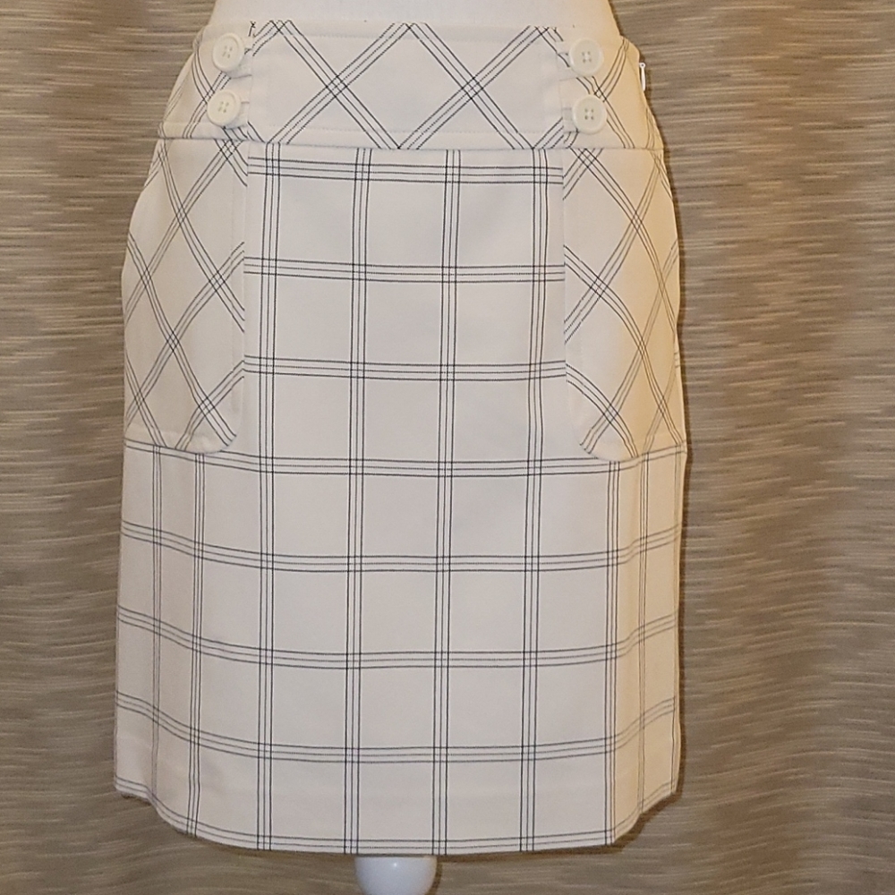 Ann Taylor Loft skirt. Size 6.